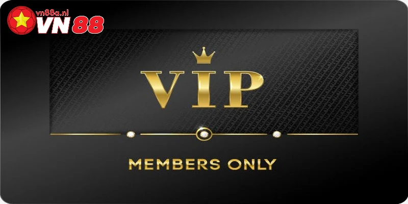 Giới thiệu về thành viên VIP tại nhà cái VN88